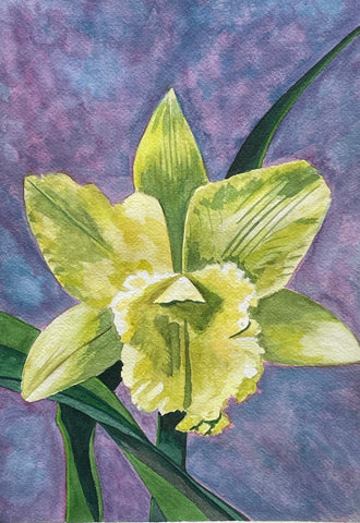 Green Orchid (print)